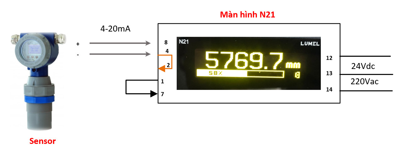 đấu dây sensor 4-20ma với đồng hồ N21